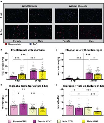 H7N7 viral infection elicits pronounced, sex-specific neuroinflammatory responses in vitro